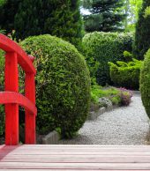 Suspendisse arcu nisl