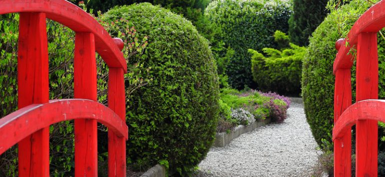 Suspendisse arcu nisl